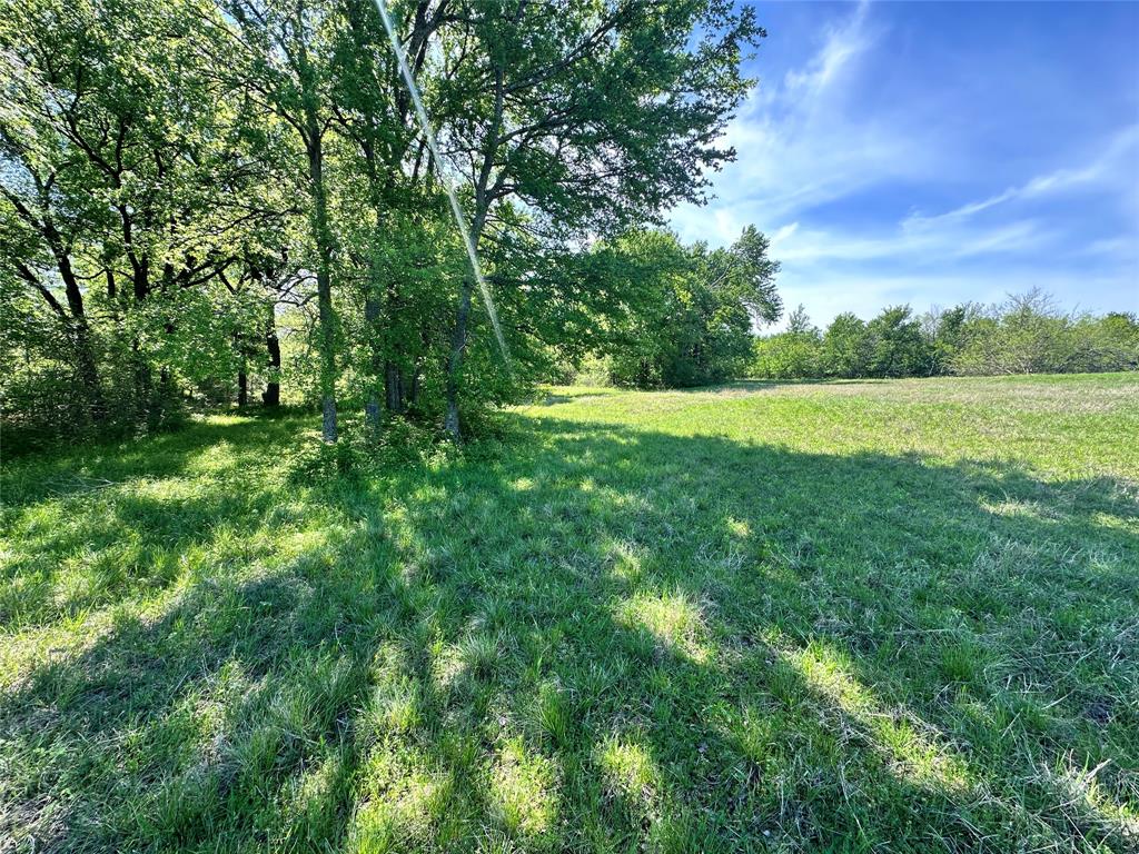 Sandy Cove Ranch - Land