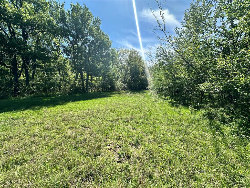 Sandy Cove Ranch - Land