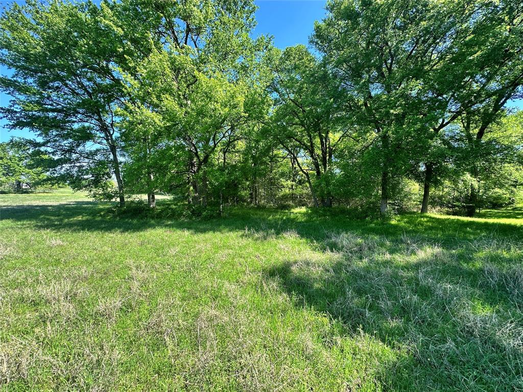 Sandy Cove Ranch - Land