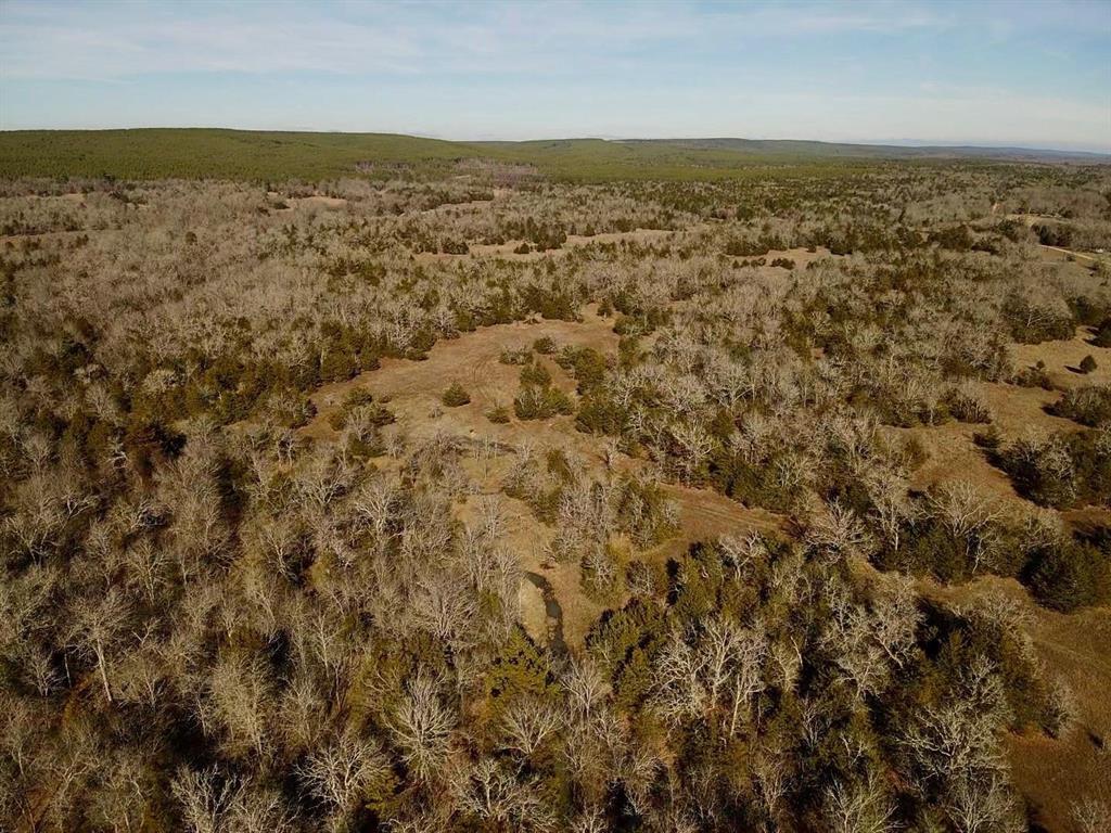 LAKE OZZIE COBB 102-B