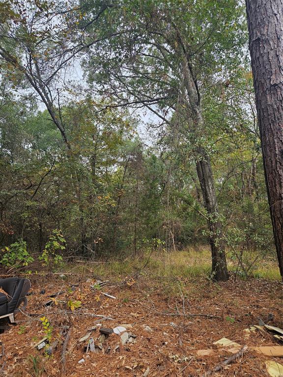 AB 60 J M Bertran Sur, TR 6A&E - Land