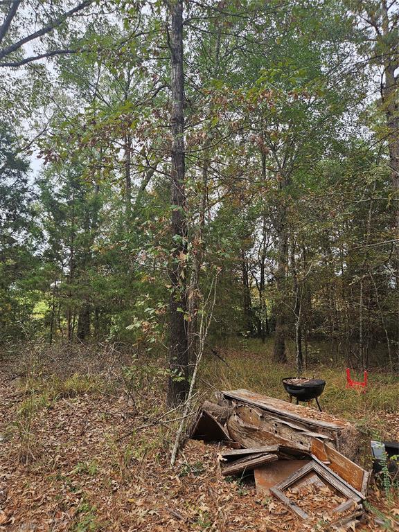 AB 60 J M Bertran Sur, TR 6A&E - Land