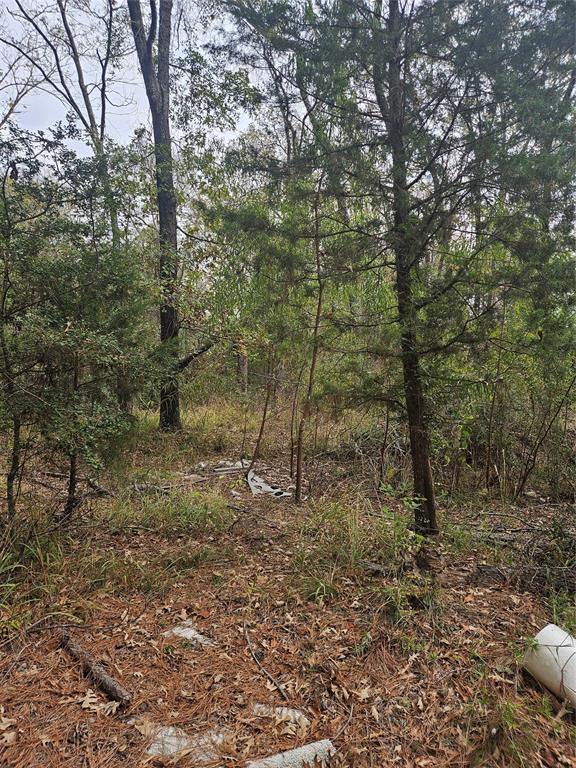 AB 60 J M Bertran Sur, TR 6A&E - Land