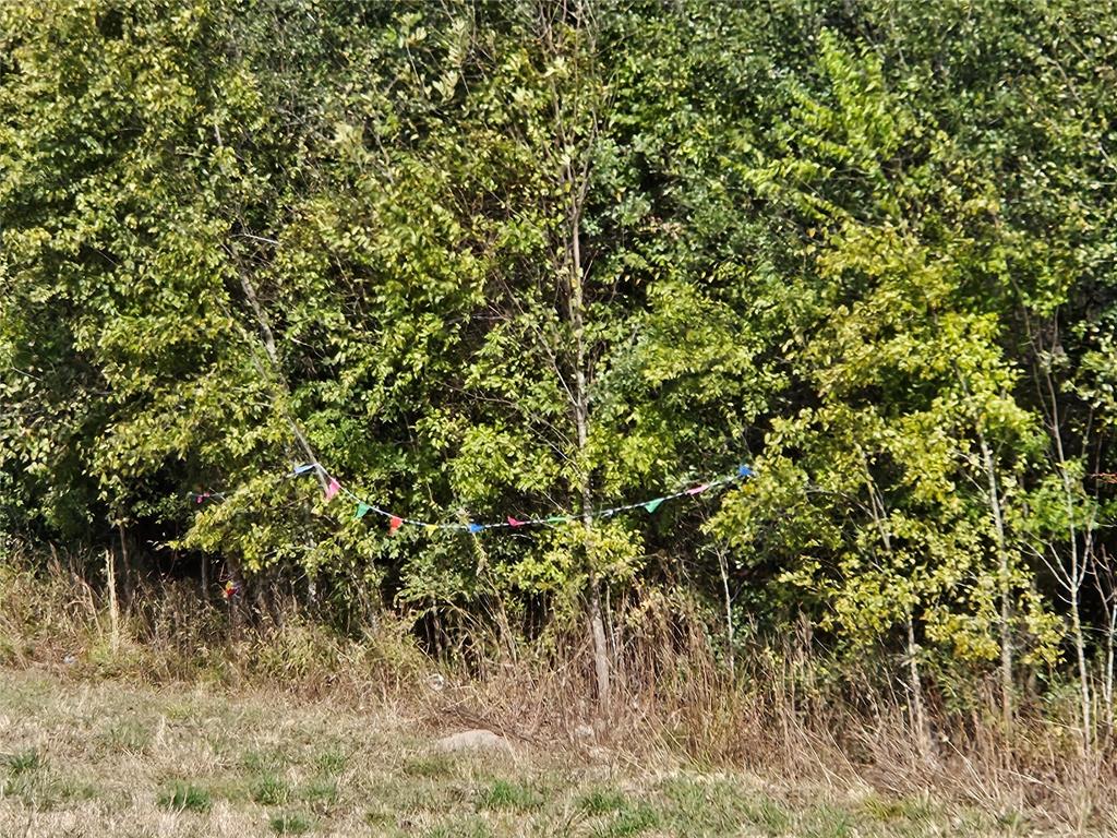 AB 60 J M Bertran Sur, TR 6A&E - Land