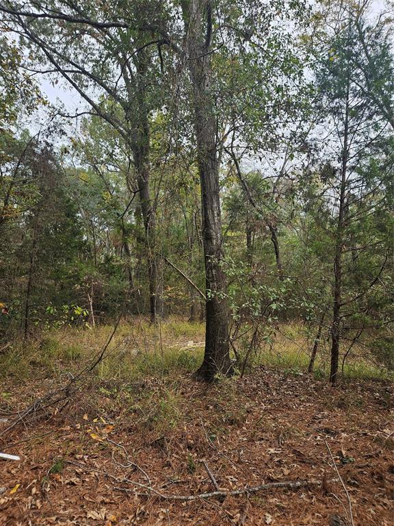 AB 60 J M Bertran Sur, TR 6A&E - Land