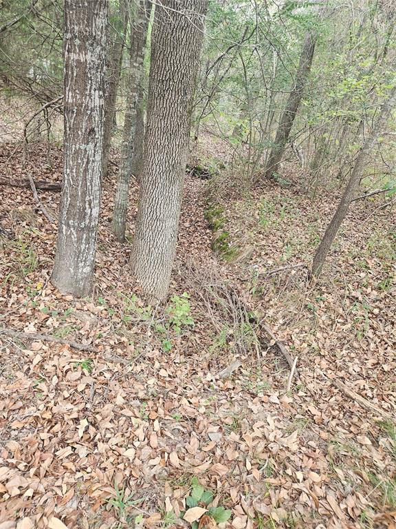 AB 60 J M Bertran Sur, TR 6A&E - Land