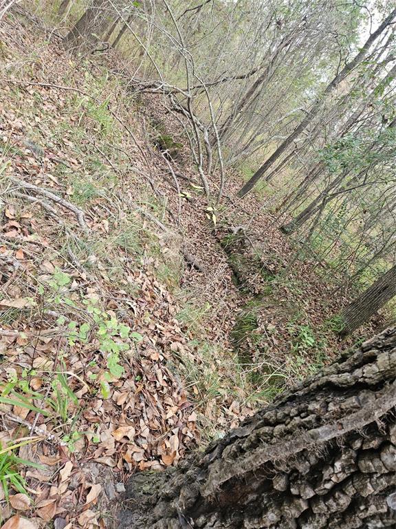 AB 60 J M Bertran Sur, TR 6A&E - Land