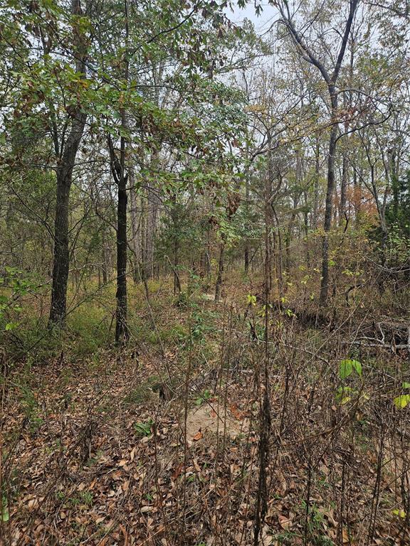 AB 60 J M Bertran Sur, TR 6A&E - Land