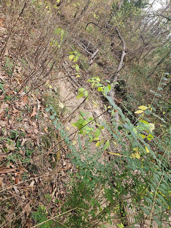 AB 60 J M Bertran Sur, TR 6A&E - Land