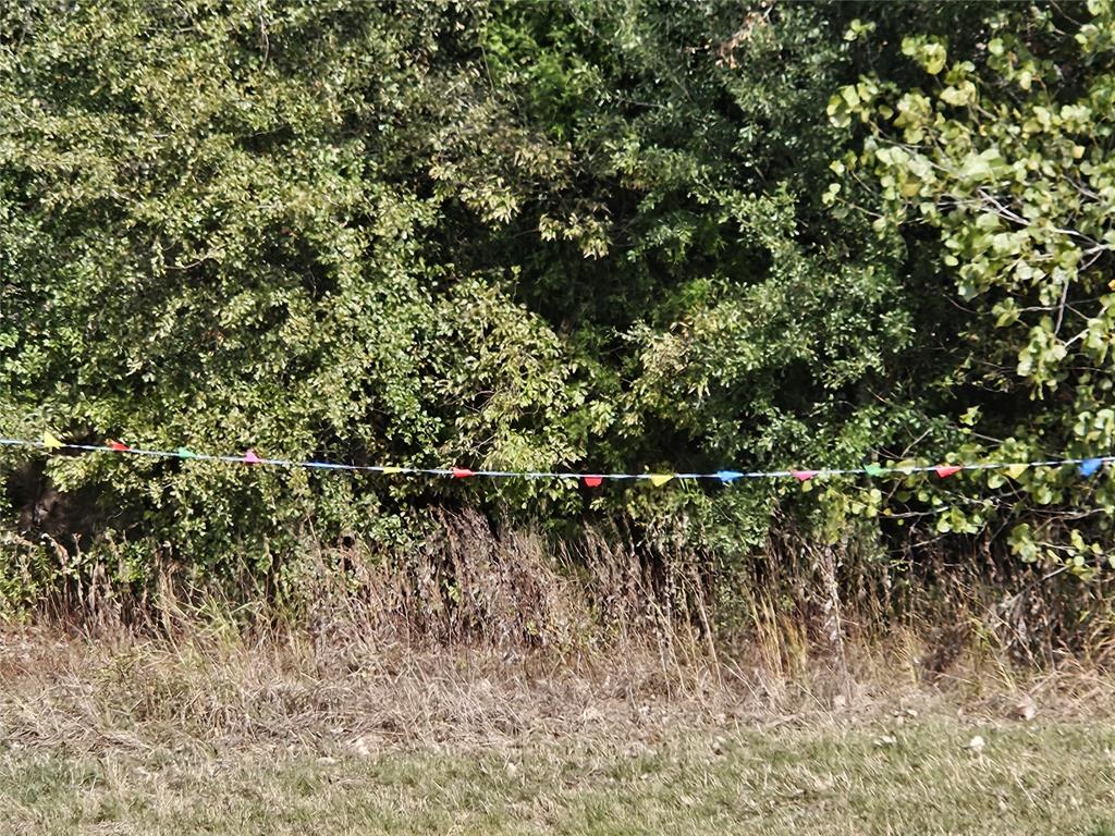 AB 60 J M Bertran Sur, TR 6A&E - Land