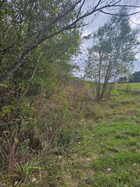 AB 60 J M Bertran Sur, TR 6A&E - Land