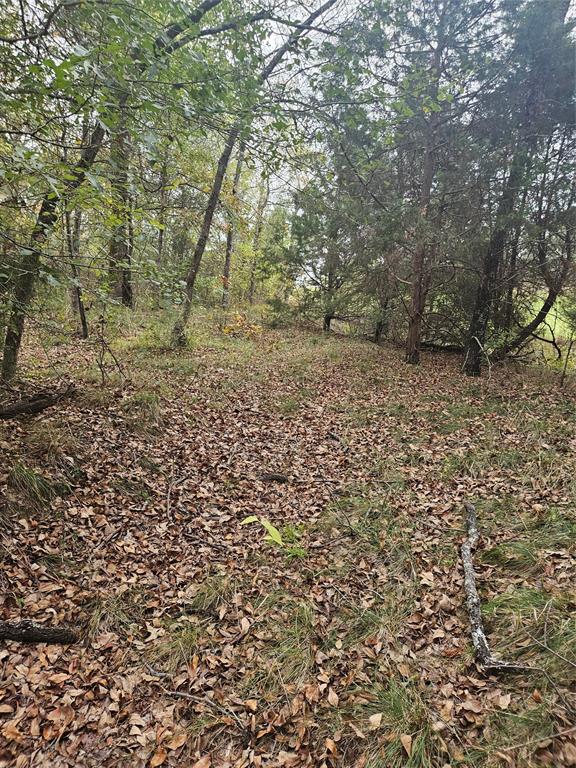 AB 60 J M Bertran Sur, TR 6A&E - Land