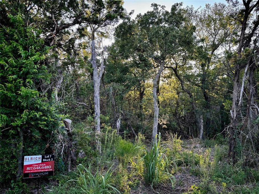 No HOA or city taxes! 5+ acres available in the beautiful Firefly Hollow Subdivision located close to the Brazos River, past The Retreat. Build your dream home and enjoy the breathtaking views, scenic drives, wildlife, and country living. Platting has been completed. Electricity is available through United Co-op, and fiber optic internet is actively coming to the area. Water well and septic will be needed, contact agent for financing suggestions. There are several size lots available in this subdivision, some are more wooded and others are not. No mobile homes. Less than an hour drive to DFW and under 15 minutes to Hamm Creek Park for access to Brazos River which is a popular for skiing, wakeboarding, and fishing. Build your homestead and live your dream!