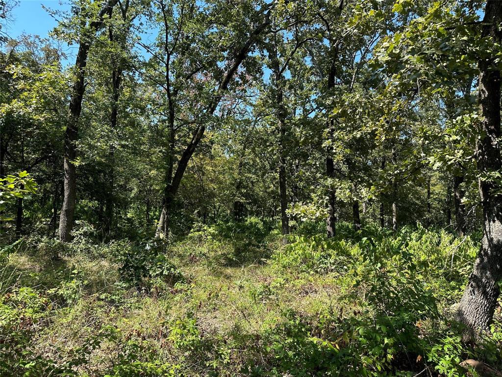 0000 County Road 3641