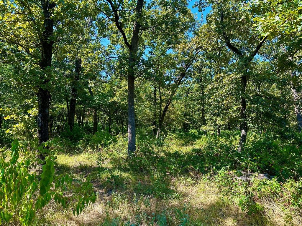 0000 County Road 3641