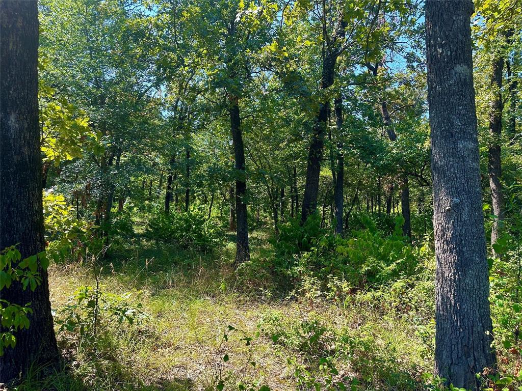 0000 County Road 3641