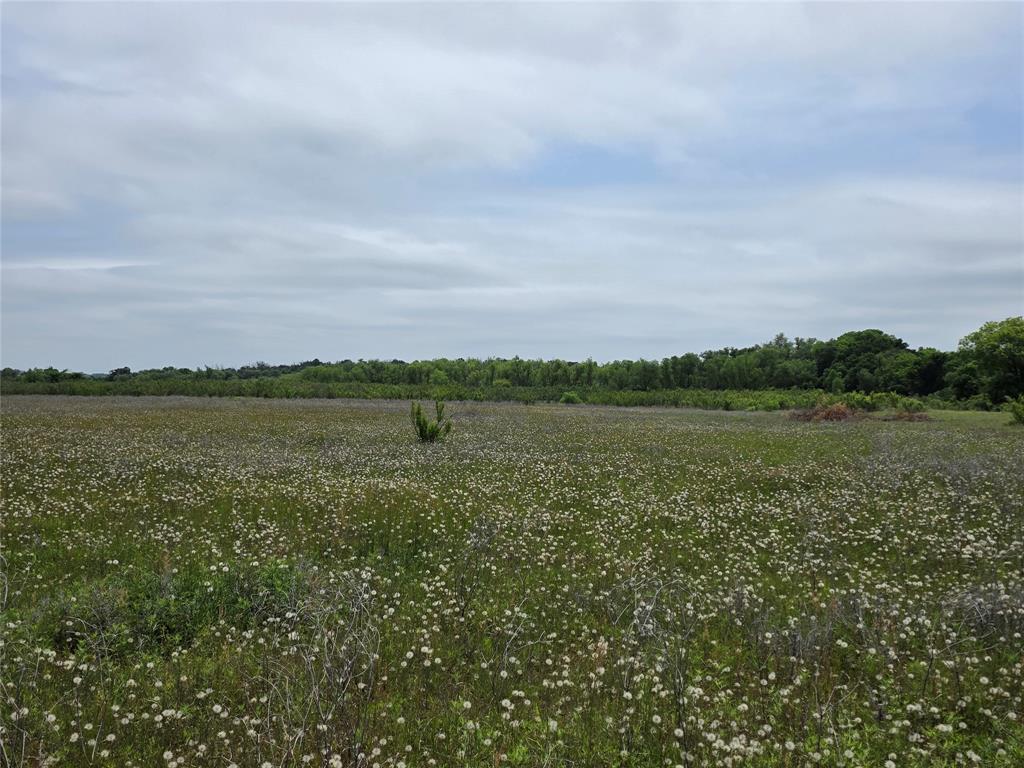 601 County Road 136