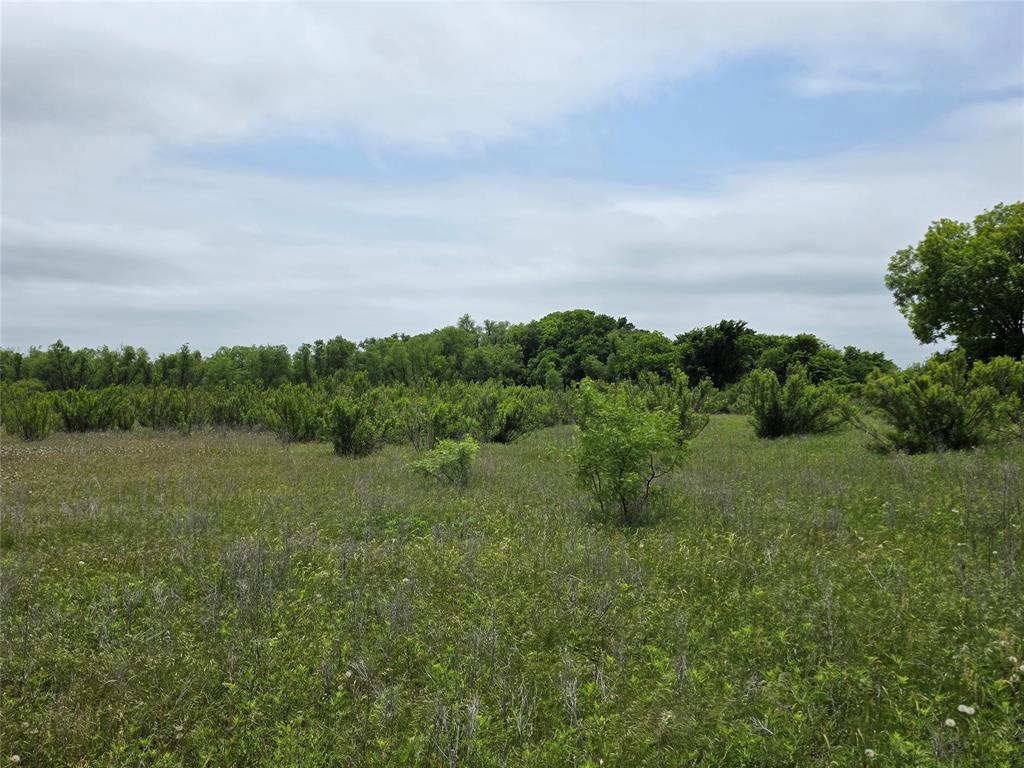 601 County Road 136