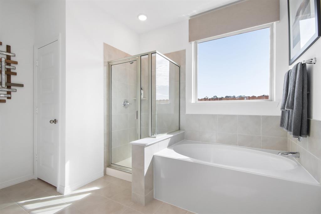 Palmilla Springs - Residential