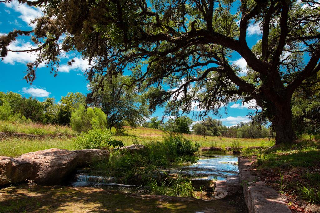 Majestic Hills Ranch - Land