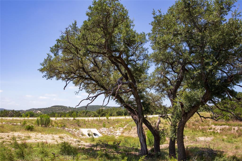 Majestic Hills Ranch - Land