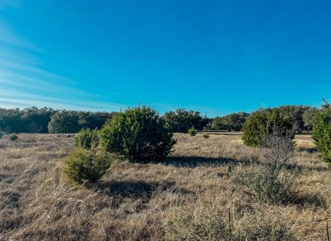 TBD Wild Tree Lane Early TX 76802