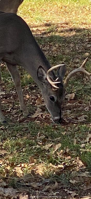 Harbor Point Sec II - Land