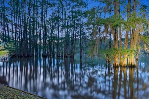 Tiny photo for 613 Moore Road, Elm Grove, LA 71051 (MLS # 21187661)