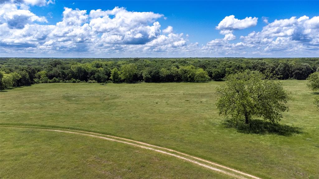 G-0341 DEXTER J W A-G0341 - Farm