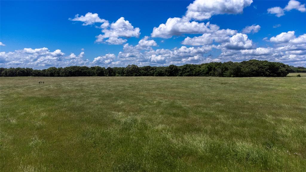 G-0341 DEXTER J W A-G0341 - Farm