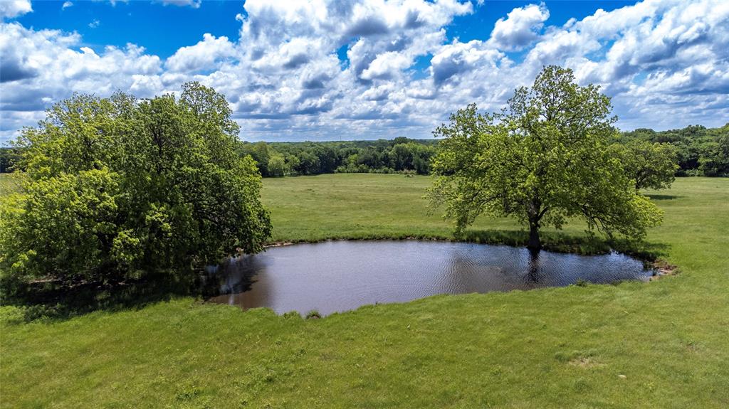 G-0341 DEXTER J W A-G0341 - Farm