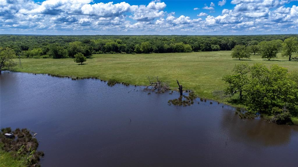 G-0341 DEXTER J W A-G0341 - Farm