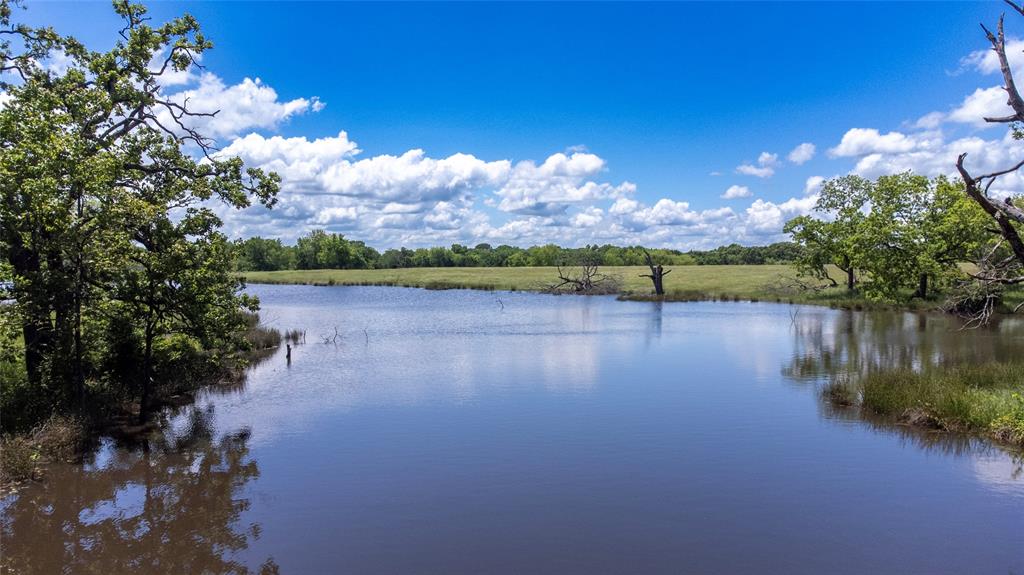 G-0341 DEXTER J W A-G0341 - Farm