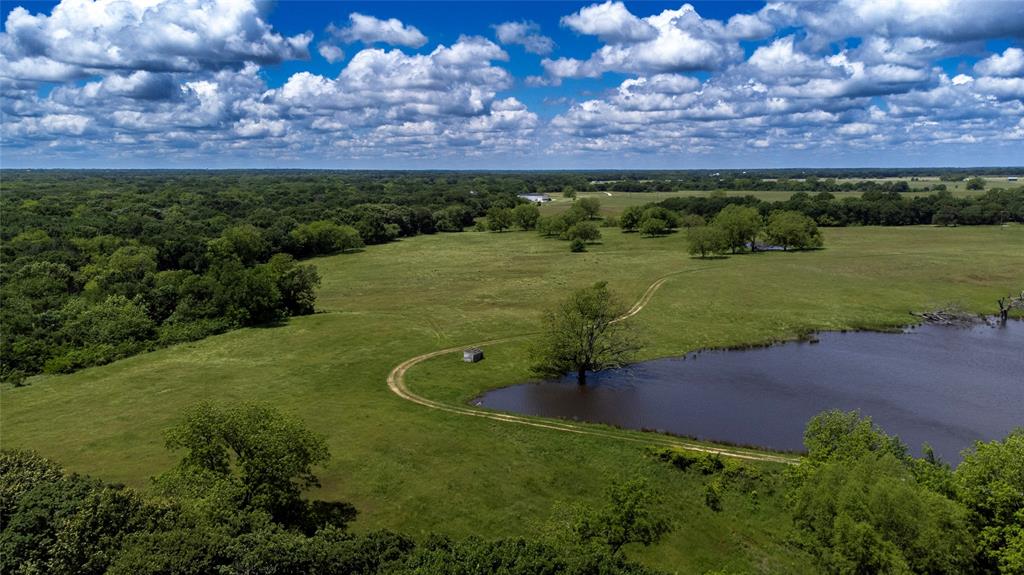 G-0341 DEXTER J W A-G0341 - Farm