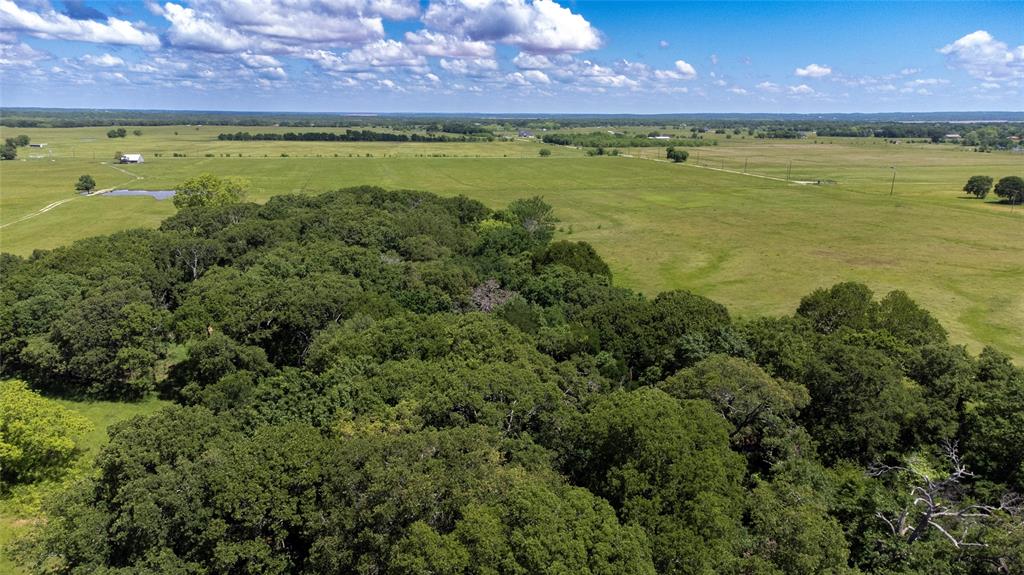 G-0341 DEXTER J W A-G0341 - Farm