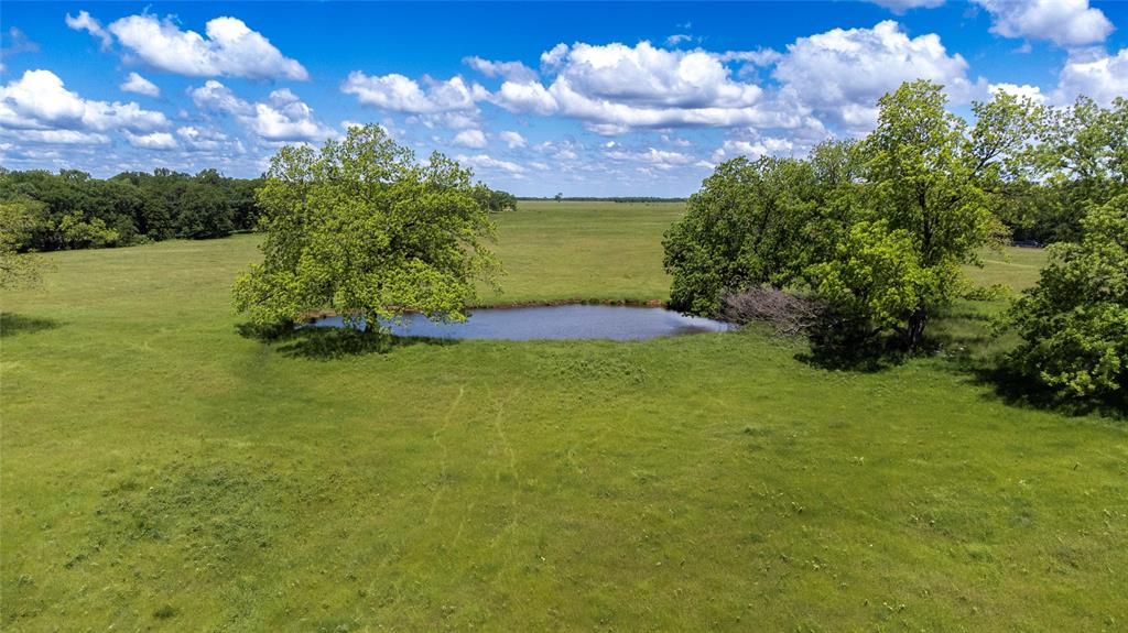 G-0341 DEXTER J W A-G0341 - Farm