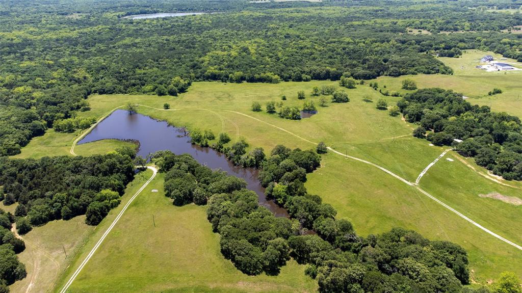 G-0341 DEXTER J W A-G0341 - Farm