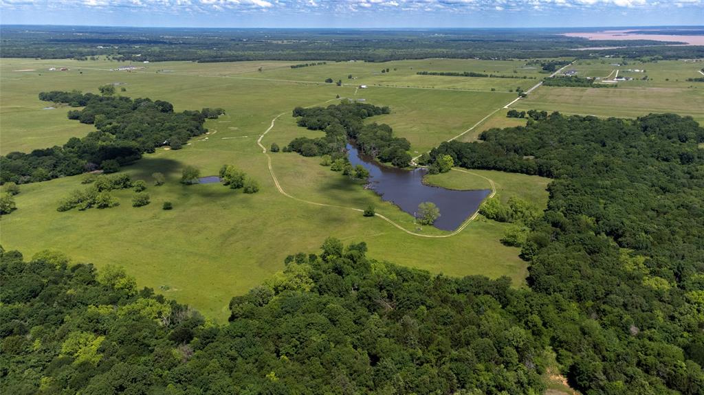 G-0341 DEXTER J W A-G0341 - Farm