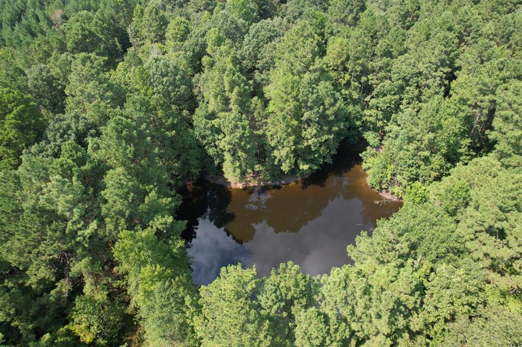 TBD County Road 283