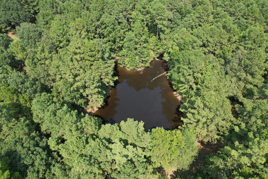 • Great timber investment or recreational tract.
• Over 87% merchantable timber. This tract has been well managed and is set up to generate consistent timber revenue for years to come. 
o 278 acres mid rotation pine plantation. Approaching a second thinning. 
o 150 acres of natural pine hardwood. Great stand of grade pine logs and a good mix of white oak and red oak logs. 
o 76 acres of well stocked pre-merchantable pine plantation. 
o 71 acres of streamside management zones.
• No oil field activity.
• 2 Ponds
• Potential 12-acre lake site.
• Great internal road system.
• Multiple food plots. 
• Surrounded by timberland. 
• Secluded, but does have CR frontage on the north and south end. 
• Less than 3 hours from Houston & Dallas. 
• Tracts this size are getting harder to find, especially in Nacogdoches County. 
• Great topography. Over 100’ of elevation change. 
All acreage amounts are approximate