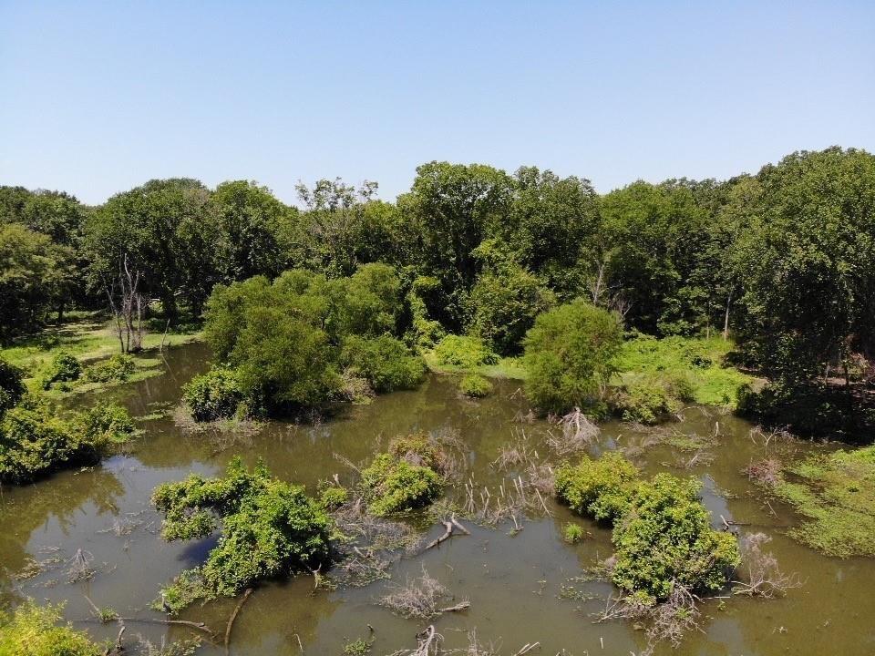 Mulberry Cove Estate Add - Land