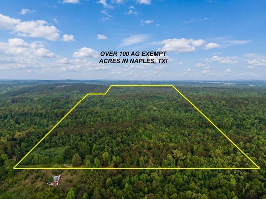 TBD COUNTY ROAD 2742, NAPLES, TX 75568 - Image eb236fddea263ca88d7f5ad7a6cb449f/3994799160