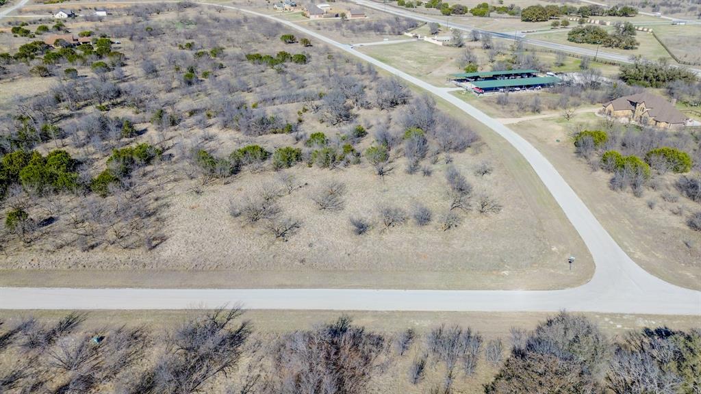 Lot 1023 Turtle Dove