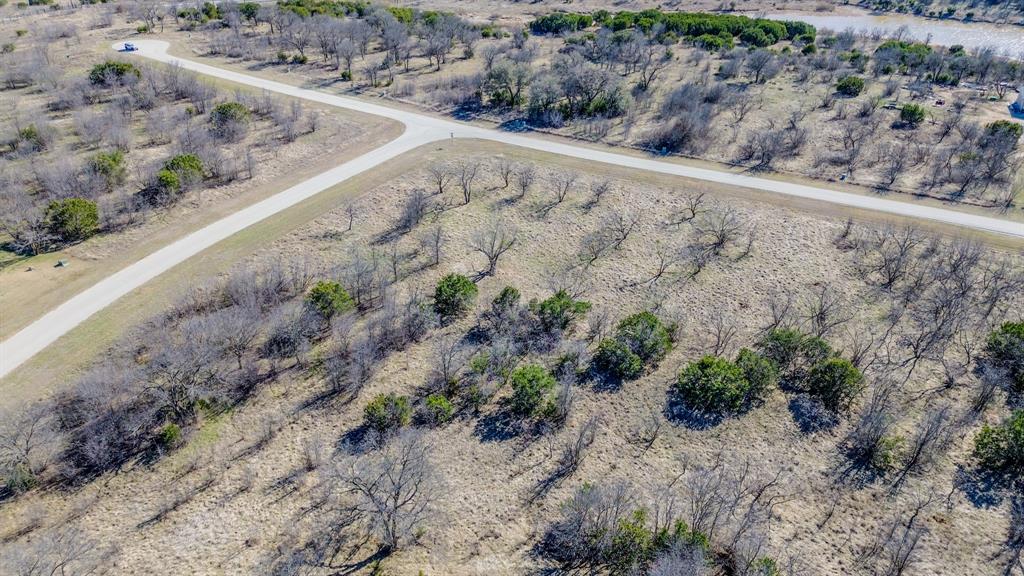 Lot 1023 Turtle Dove
