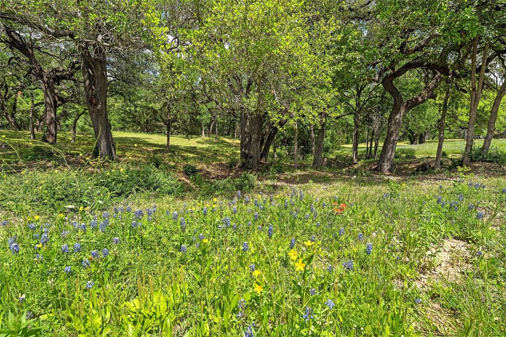 Keys on the Brazos - Land