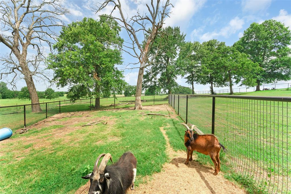 Rural 57 Acres - Farm