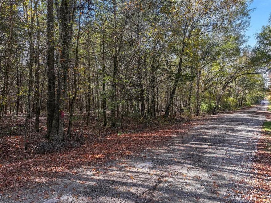 Approximately 40.868 acres. No known restrictions. Corner lot located on VZCR 3109 and VZCR 3117 in Edgewood ISD. Utilities to be verified by buyer. Owner will consider subdividing into a smaller parcel.