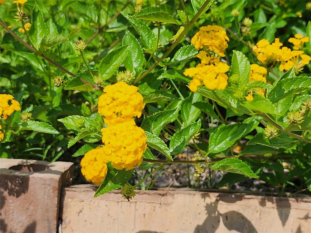 Villages Of Carmel Ph 2b - Residential