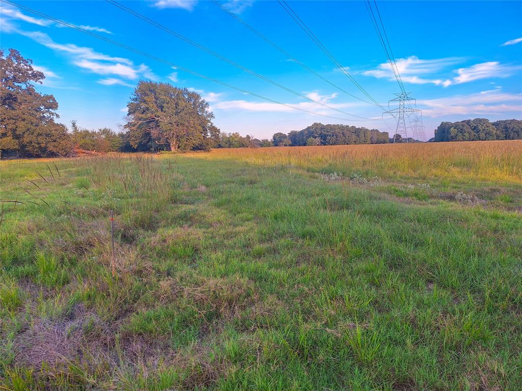 Willow Bend Acres - Land