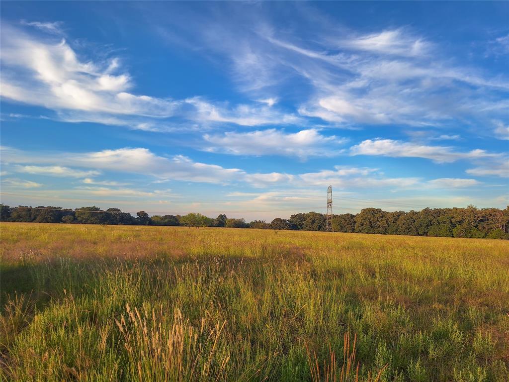 Willow Bend Acres - Land